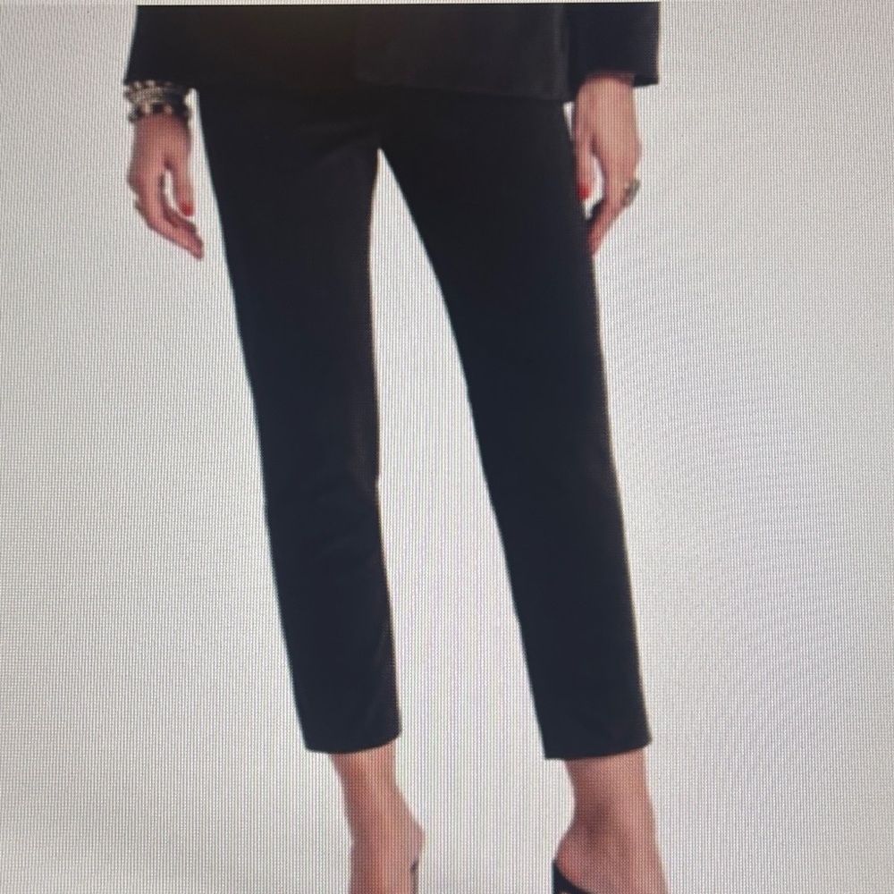 NWT Francés Valentine velvet pants.  Size 14 Black